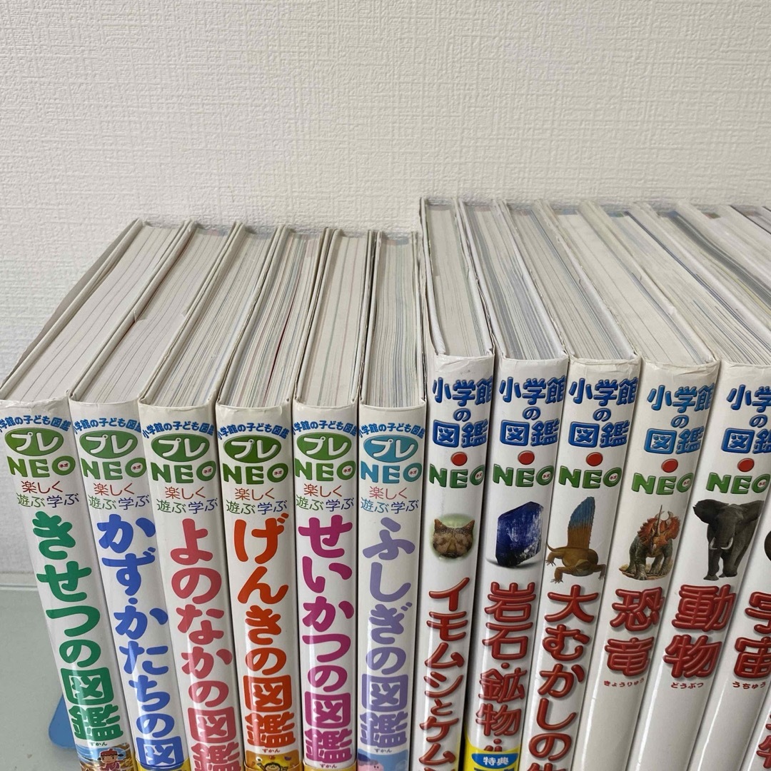 19冊セット　小学館の図鑑NEO プレNEO