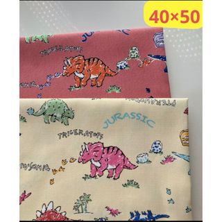 【2枚】小学校ランチョンマット40×50cm手書き風恐竜(外出用品)