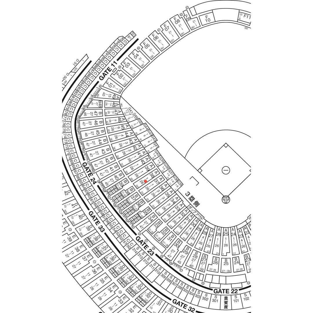 【通路側から2席】東京ドーム　巨人対中日　5月22日水曜日ビームシートペア三塁側 チケットのスポーツ(野球)の商品写真