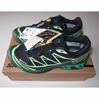 サロモン(SALOMON)のSALOMON XT-6 GTX ゴアテックス 27.5cm green(スニーカー)