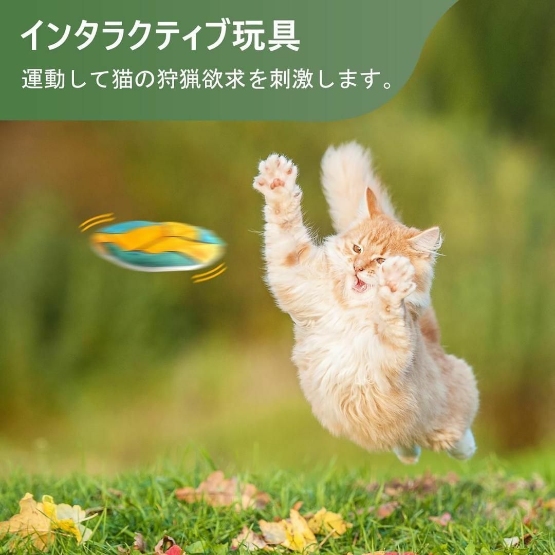 猫 おもちゃ子猫 またたびトイ 猫噛みおもちゃ ボール　柔らかい セット 犬 その他のペット用品(猫)の商品写真