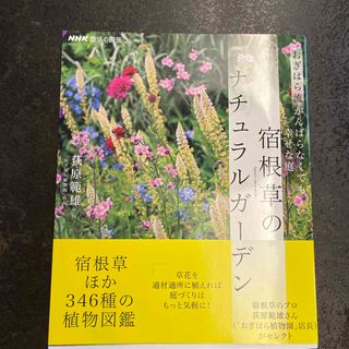 おぎはら流がんばらなくても幸せな庭　宿根草のナチュラルガーデン(趣味/スポーツ/実用)