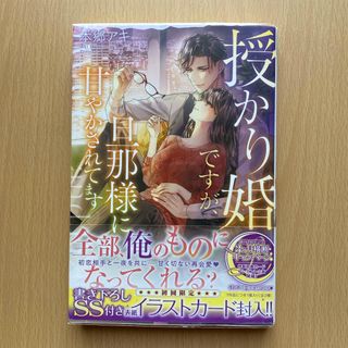 授かり婚ですが、旦那様に甘やかされてます(文学/小説)