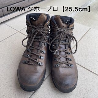 【25.5cm】LOWA タホープロ(登山用品)