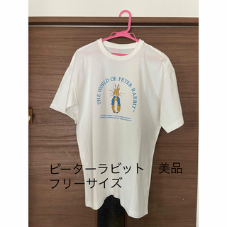 ピーターラビット(PETER RABBIT（TM）)の美品⭐︎ピーターラビット　Tシャツ　三菱銀行　フリーサイズ(Tシャツ(半袖/袖なし))