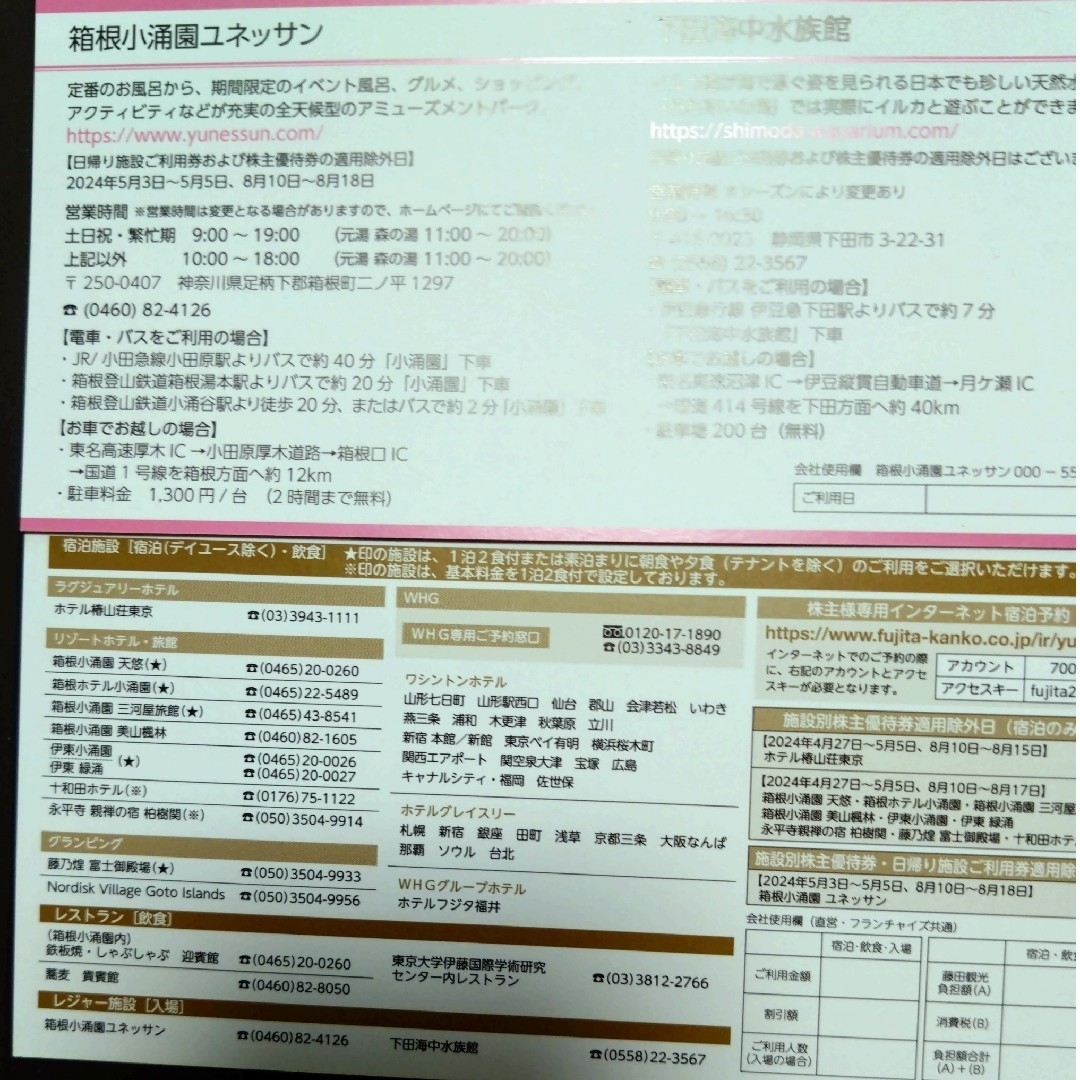 藤田観光 株主優待券　箱根小涌園コネッサン下田海中水族館入場券2枚株主優待券 4 チケットの施設利用券(遊園地/テーマパーク)の商品写真