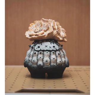 copiapoa flower season 新品　コピアポア(その他)