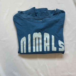 BOBO CHOSES - the animals observatory 6y Tシャツ