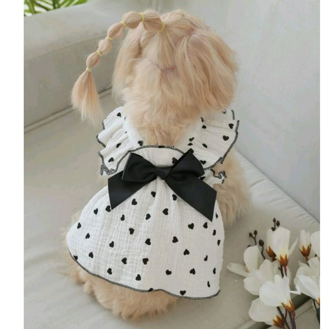 犬服　ワンピース ハンドメイドのペット(ペット服/アクセサリー)の商品写真