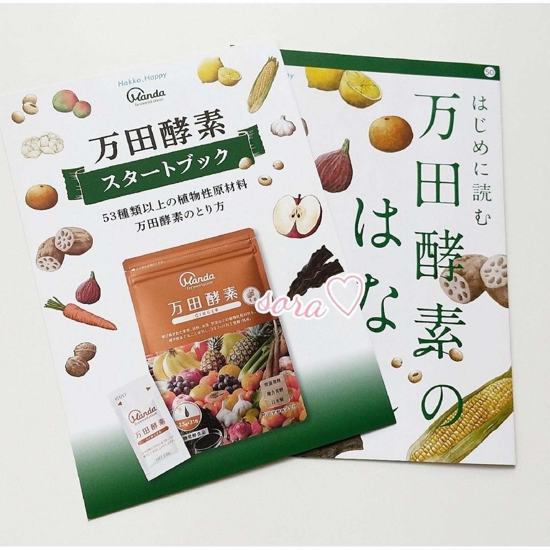 万田発酵(マンダハッコウ)の万田酵素 MULBERRY マルベリー etc... 食品/飲料/酒の健康食品(その他)の商品写真