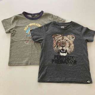 UNITED ARROWS green label relaxing - 動物好きに！ライオン＆熊キャンプ　Tシャツ　２枚セット　110