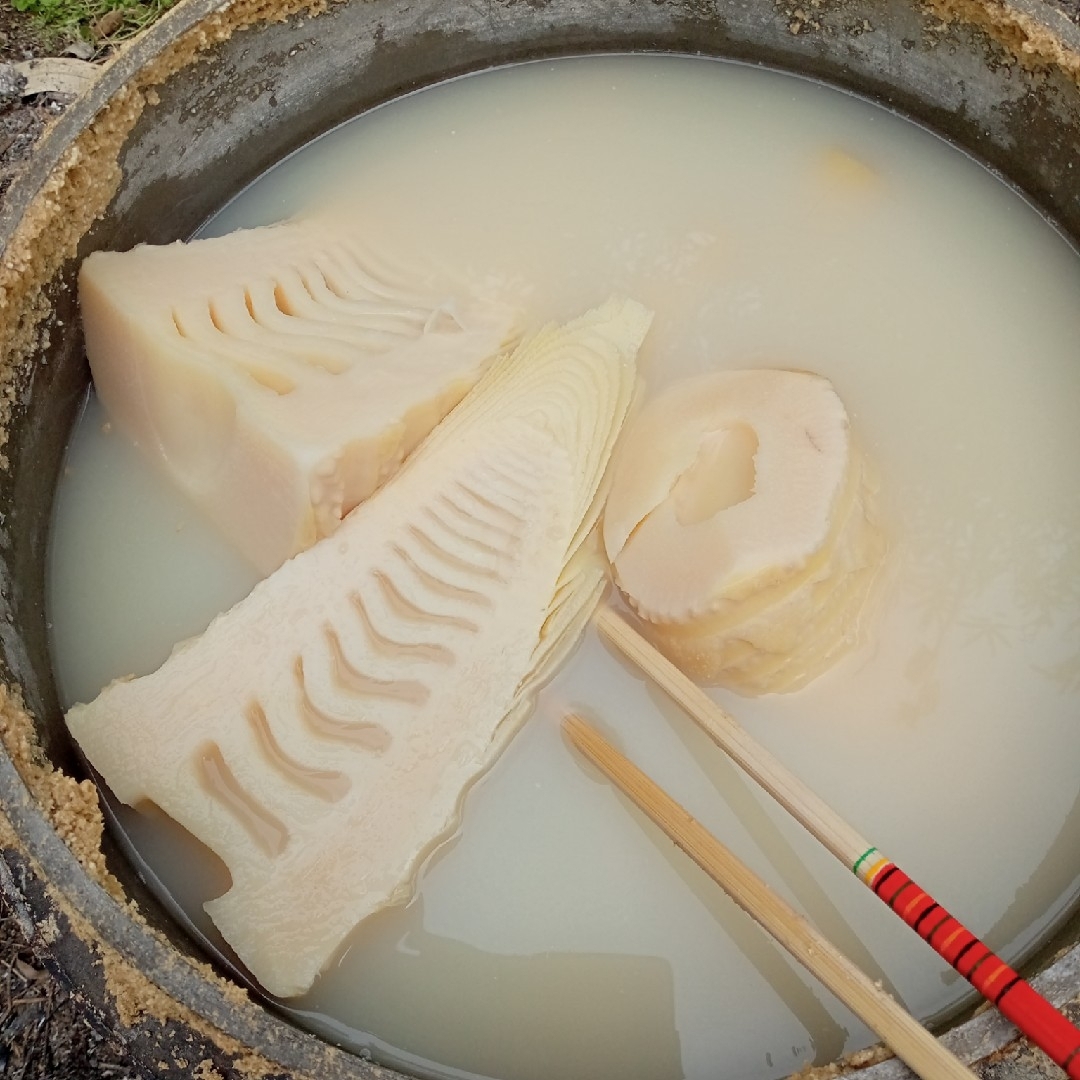 香川県産　たけのこ水煮→　正味２kg 食品/飲料/酒の食品(野菜)の商品写真