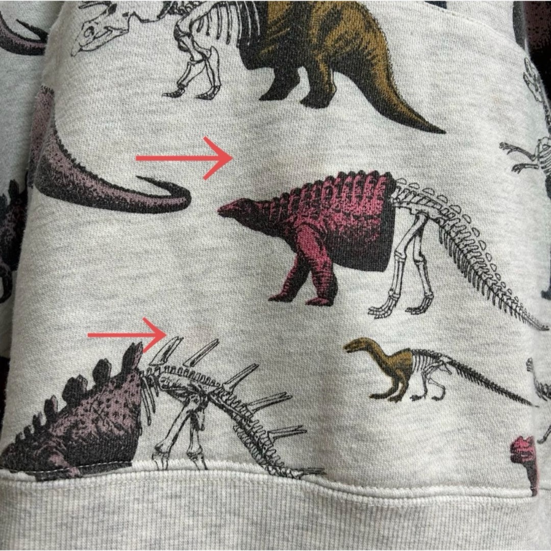 Design Tshirts Store graniph(グラニフ)のデザインティーシャツストアグラニフ グラニフ 恐竜パーカー メンズのトップス(パーカー)の商品写真