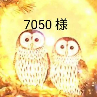 7050 様に(釣り糸/ライン)