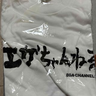 4月15日21時まで限定　激安　新品未開封　エガちゃんねる　お尻習字Tシャツ