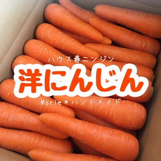 洋にんじん　3kg　春　ハウスニンジン　人参　野菜　産地直送　期間限定(野菜)