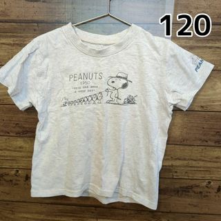 ピーナッツ(PEANUTS)の【PEANUTS】半袖Ｔシャツ　きなり　120cm　ベルメゾン(Tシャツ/カットソー)