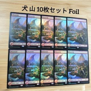 マジックザギャザリング(マジック：ザ・ギャザリング)の10枚セット Foil 山 Mountain 犬 猫 Secret Lair 英(シングルカード)