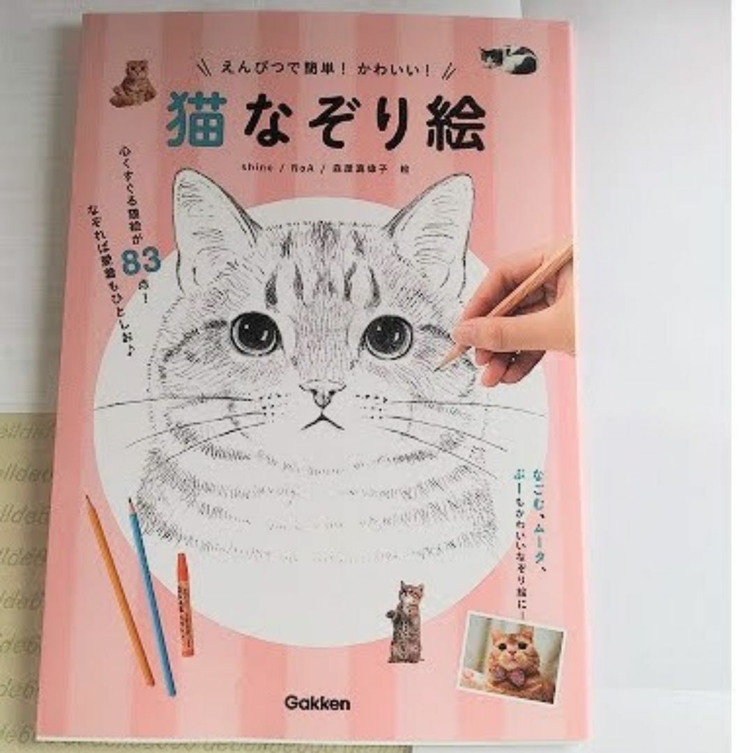 えんぴつで簡単！かわいい！ 猫なぞり絵 エンタメ/ホビーの本(アート/エンタメ)の商品写真