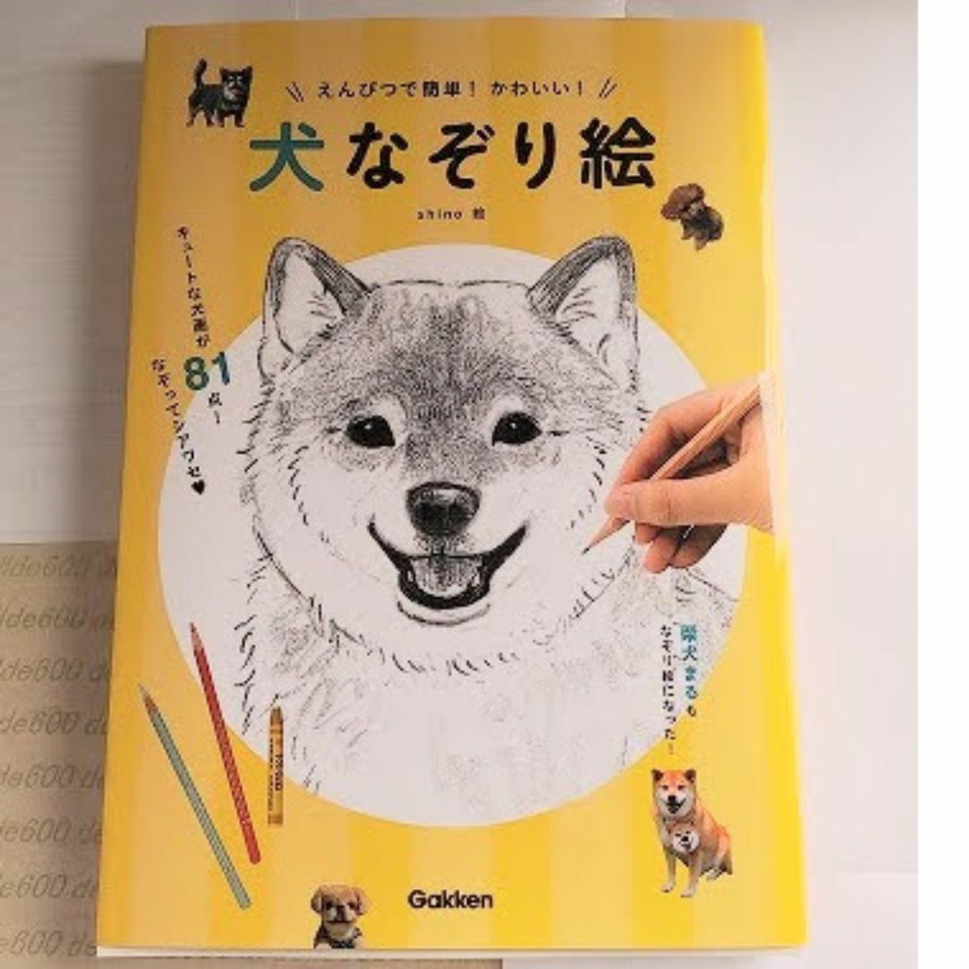 えんぴつで簡単！かわいい！ 犬なぞり絵 エンタメ/ホビーの本(アート/エンタメ)の商品写真