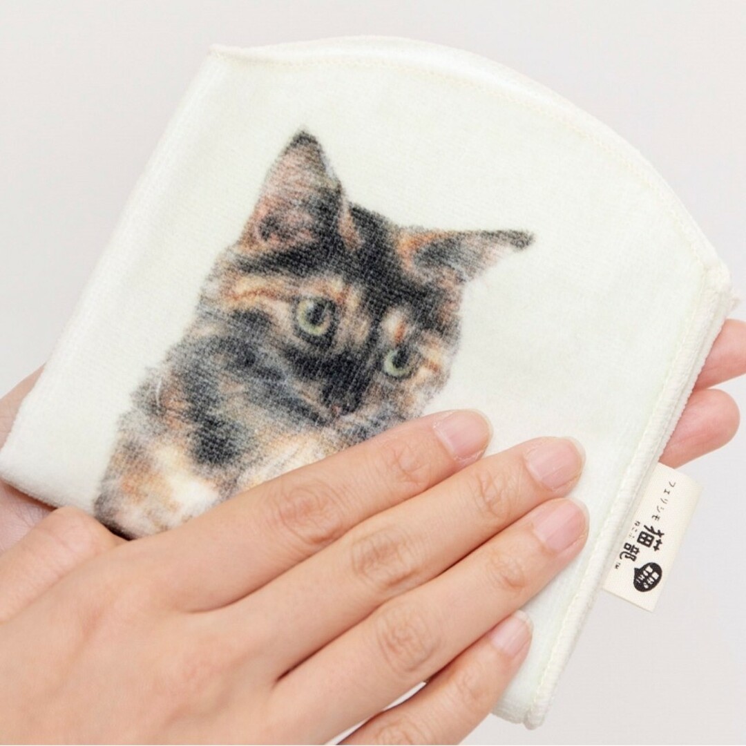 FELISSIMO(フェリシモ)の新品 フェリシモ 猫部 ペットボトル タオル（三毛）猫 タンブラーカバー エンタメ/ホビーのコレクション(その他)の商品写真