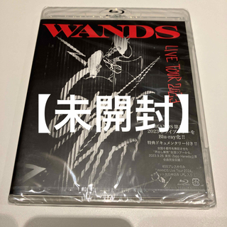 【未開封】WANDS/Live Tour 2023～SHOUT OUT!～(ミュージック)