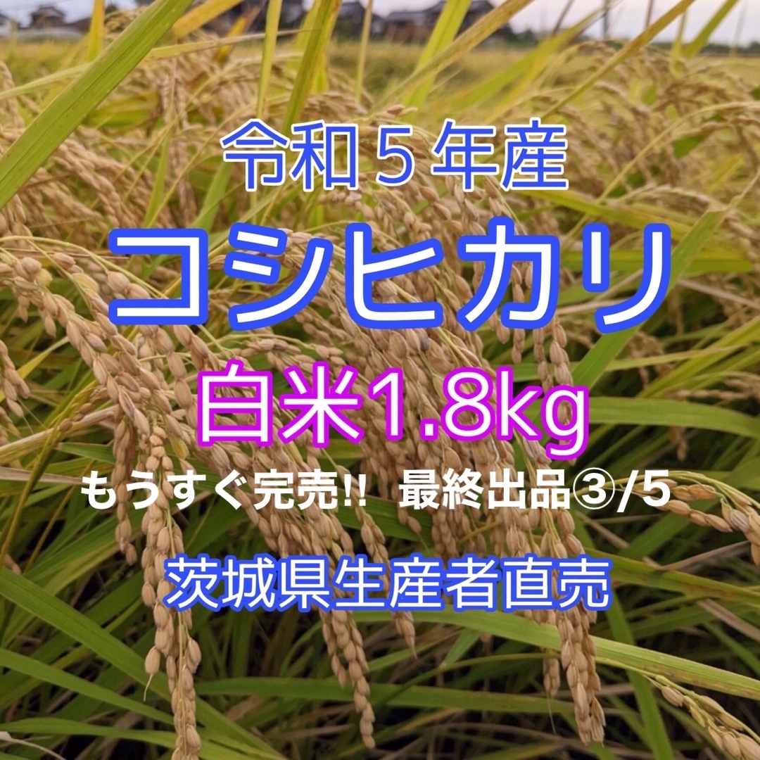 令和5年産　コシヒカリ　1.８kg　白米　１等米　茨城県生産者直売　☆送料無料☆ 食品/飲料/酒の食品(米/穀物)の商品写真