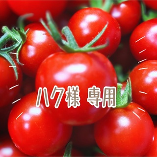 ミニトマト　千果８ｋｇ(野菜)