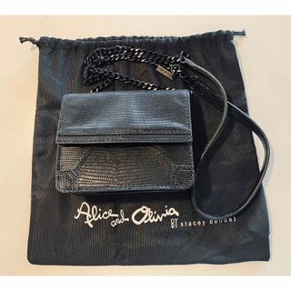 【未使用保管品】Alice and Olivia ミニバッグ