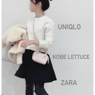 コウベレタス(神戸レタス)の神戸レタス　バルーンスカート　ビスチェ　zara OHGA cygne HEVE(ミニスカート)