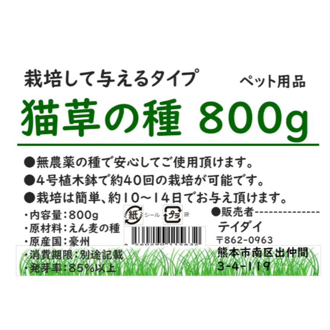 【大容量】猫草の種 800g 40回分 食べれる草の種 ペットの健康に その他のペット用品(ペットフード)の商品写真