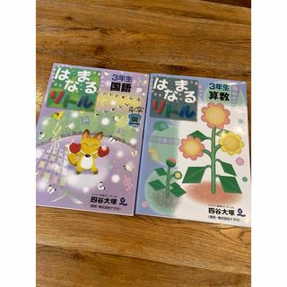 はなまるリトル３年生算数&国語セット(語学/参考書)