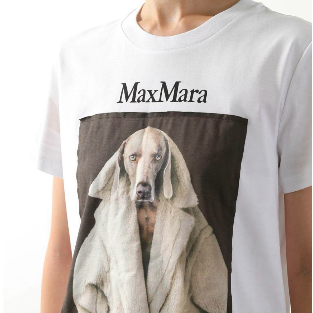 Max Mara(マックスマーラ)の【新品未使用】MaxMara ロゴTクルーネック レディースのトップス(Tシャツ(半袖/袖なし))の商品写真