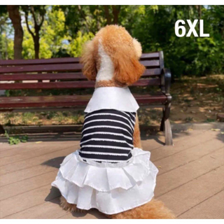 【ペット用】大型犬用　ペット服　フリル付き黒ボーダー柄ドレス　大きい襟　6XL(犬)