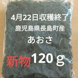 鹿児島県長島町産 あおさ あおさのり 乾燥あおさ