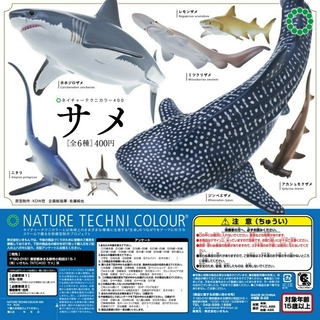 ネイチャーテクニカラー400 サメ 全6種(その他)