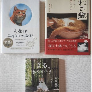 猫の本  3冊おまとめ(その他)