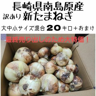 長崎県南島原産【新玉ねぎ】大中小混合20キロ＋おまけ　訳あり品(野菜)