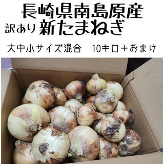 長崎県南島原産【新玉ねぎ】大中小混合10キロ＋おまけ　訳あり品(野菜)