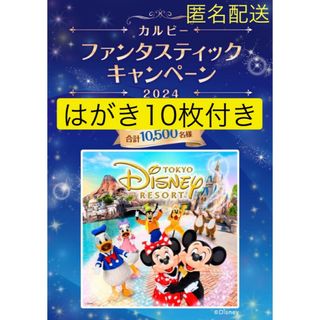 カルビー - 懸賞　ディズニー　カルビー　応募券　貸切ファンタスティックキャンペーン応募はがき