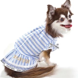 クレイジーブー　新品タグ付き未開封　涼綿ロゴリボンギャザーボーダーワンピース ①(犬)