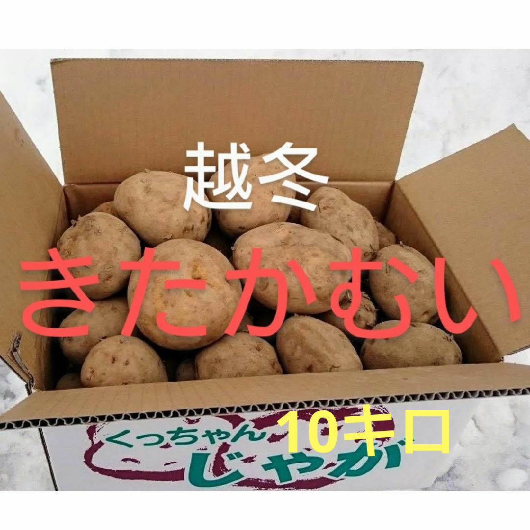 北海道産　越冬じゃが芋　きたかむい 食品/飲料/酒の食品(野菜)の商品写真