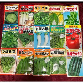 野菜の種王様トマト入り(野菜)