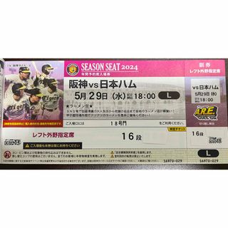 ハンシンタイガース(阪神タイガース)の5/29(水)阪神vs日本ハム 甲子園球場 レフトスタンド(野球)