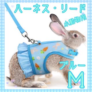 新品未使用 うさぎ　小動物　ハーネス　リード　フェレット　モルモット　ブルー　M(小動物)