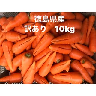 春人参　訳あり10kg W 徳島県産(野菜)