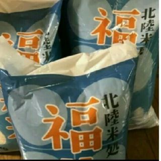 お米15kg(米/穀物)