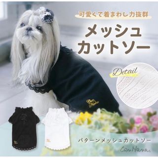 ♡新品タグ付き♡きゃんナナ パターンメッシュカットソー♡(犬)