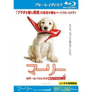 [131521]マーリー 世界一おバカな犬が教えてくれたこと ブルーレイディスク【洋画 中古 Blu-ray】ケース無:: レンタル落ち(外国映画)