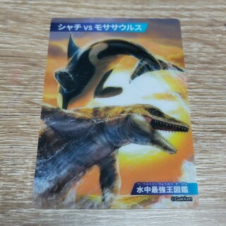 フルタセイカ(フルタ製菓)のフルタ 最強王図鑑カードグミ シャチVSモササウルス(キャラクターグッズ)